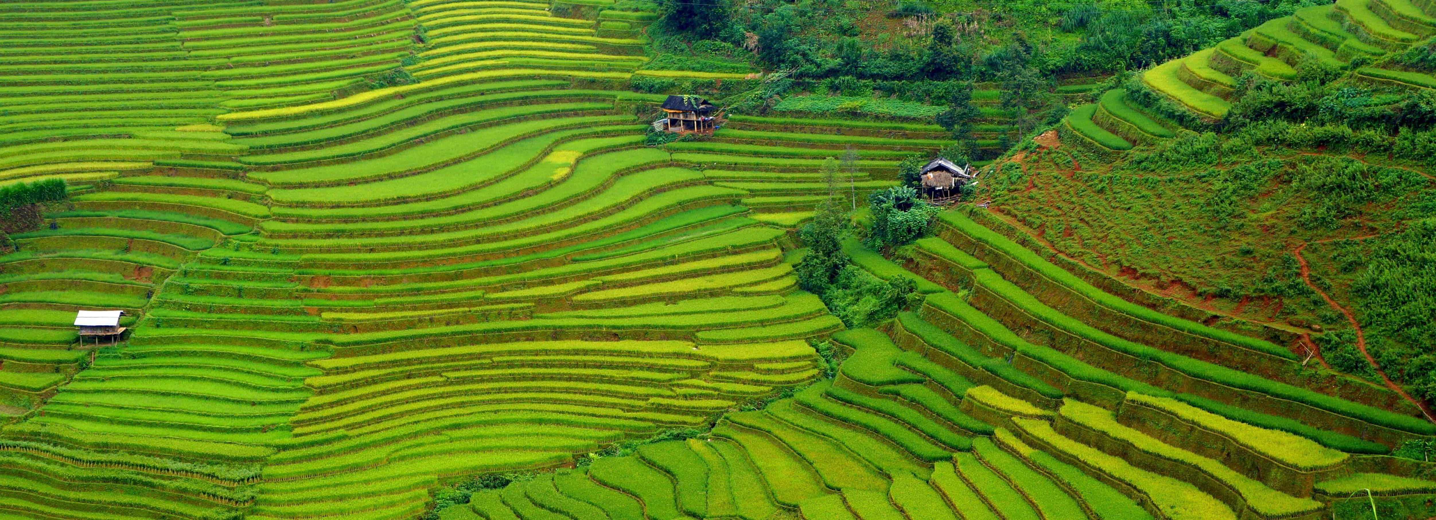 rra-image-asset-355.jpg